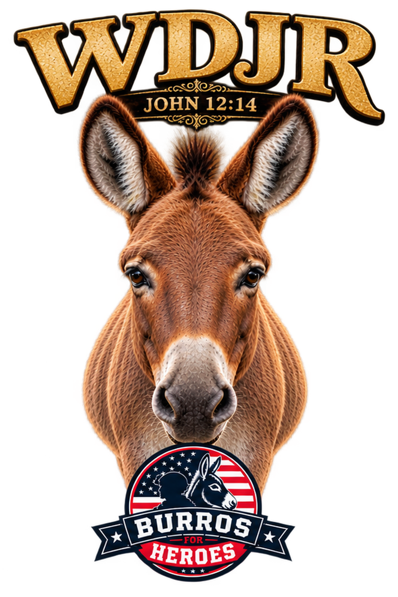 WDJR John 12:14 shirt